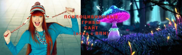 прущая мука Баксан