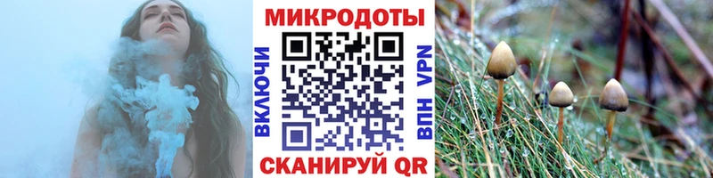 Псилоцибиновые грибы мицелий  наркотики  Ершов 